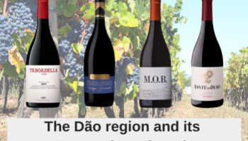 The Dão region and its Burgundy-style reds