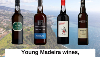 Vinos jóvenes de Madeira, perfectos para cualquier ocasión