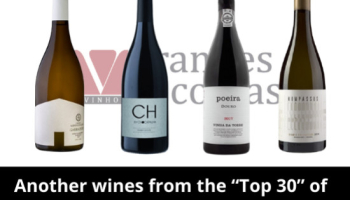 Autres vins du « Top 30 » de Vinho Grandes Escolhas