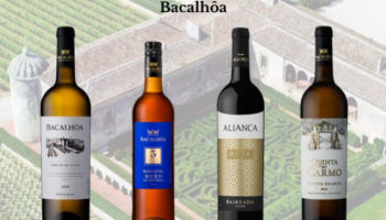 Auswahl an Weinen zur Feier von 100 Jahren Bacalhôa