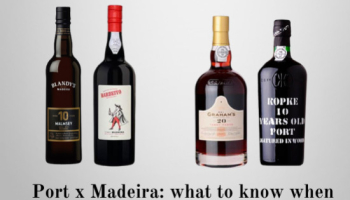 Port x Madeira: what to know when making your choice
