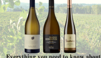Everything you need to know about Alvarinho