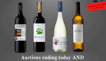 Auctions ending today AND Selection from North to South with discount