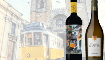Vini di Lisbona: i vini della nostra capitale