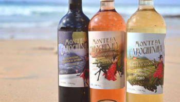 Monte da Carochinha, wines from the mountain with one foot in the sea