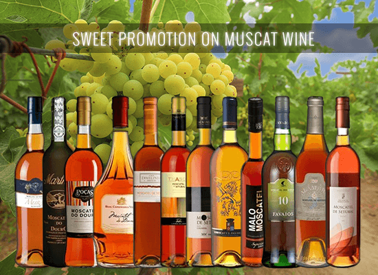 Check the selection of 12 of our bestselling Muscatel dessert wines