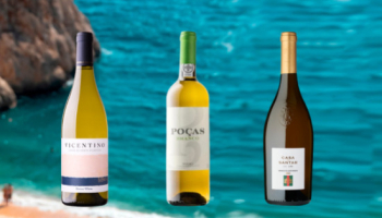 SUMMER FAIR- The best discounts on white wines