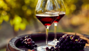 Imperdible: vinos tintos del Duero por menos de 10 euros