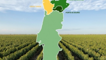Regiões vínicas portuguesas: As regiões mais a norte do país