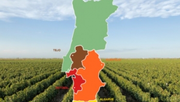 Régions viticoles portugaises : Les régions du sud du pays
