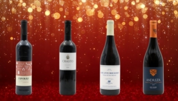 Red wines up to 15 euros for your Christmas