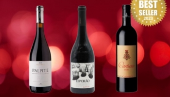 BEST-SELLERS 2023 : Les vins Premium préférés de nos clients