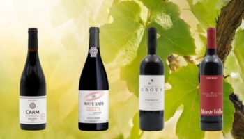 Promo limitée sur une sélection de vins du Douro et de l'Alentejo