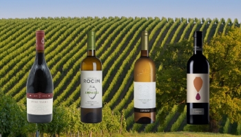Una selezione dei migliori vini Talha dell'Alentejo