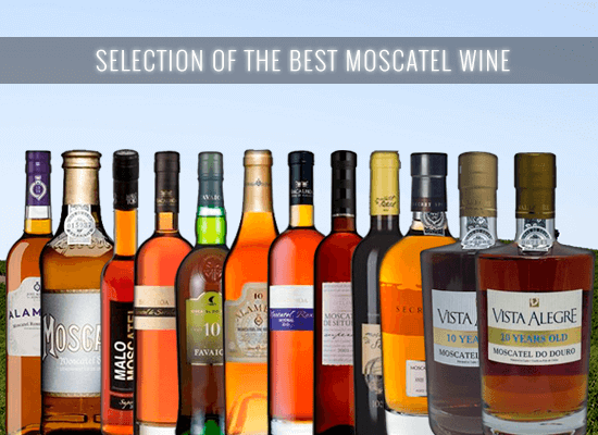 A selection of the best Muscatel Roxo, Superior and Aged Muscatel