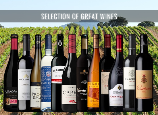 Our selection of red and white wines brands with decades of history but still very modern 