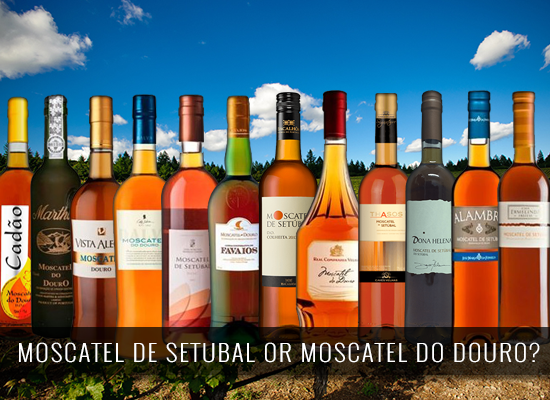 Moscatel de Setúbal or Moscatel do Douro? 