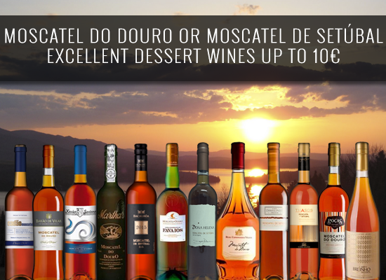  Moscatel de Setubal vs Moscatel do Douro: excellent dessert wines under 10€ 