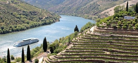 What to buy in Douro with a €50 budget for a case of 12 bottle?