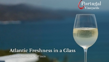 A Frescura do Atlântico no Copo: Vinhos Portugueses com Identidade Costeira   
