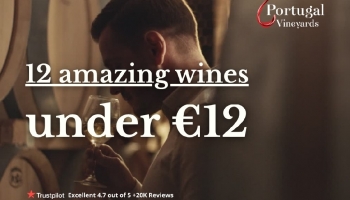 12 vinhos incríveis por menos de 12€   