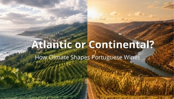 Atlântico ou Continental? Como o clima molda os vinhos portugueses   