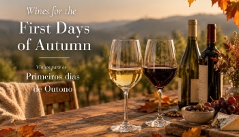 Wines for the First Days of Autumn